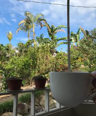 In Turrialba Kaffee geniessen - hier, wo er angebaut wird